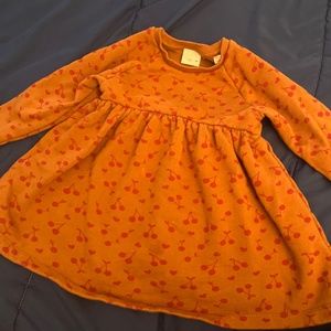 Toddler Zara Dress